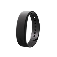 The Pulseband